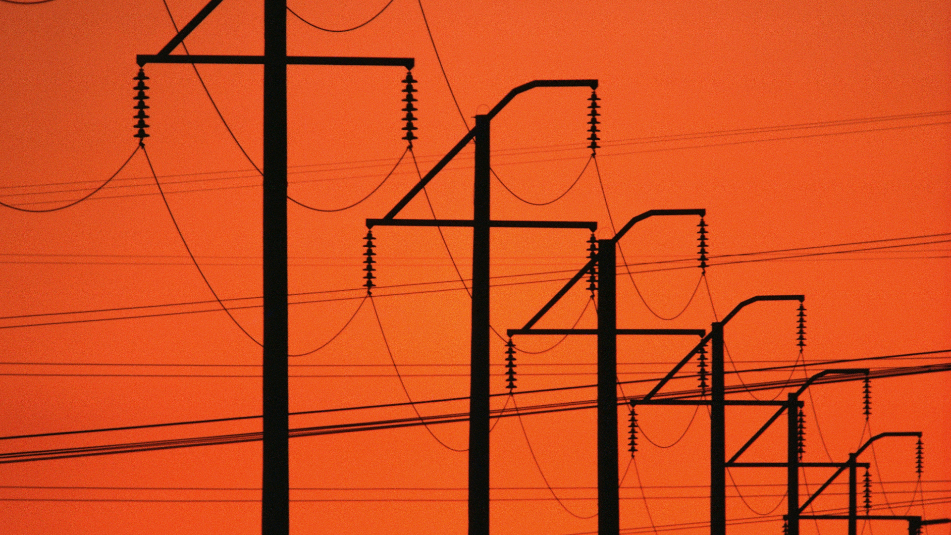 telephone lines at sunset
